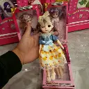 cute-doll-beautiful-princess-doll-for-girls-play-with-box-random-doll - 1 (1).webp